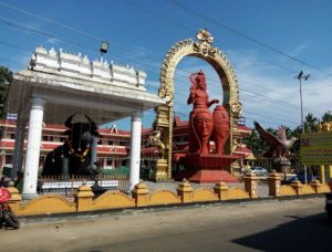 Avanangattil Kalari Lord Sree Vishnumaya Temple Image