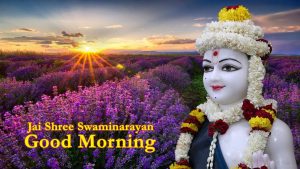 Jai Shree Swaminarayan Good Morning Images