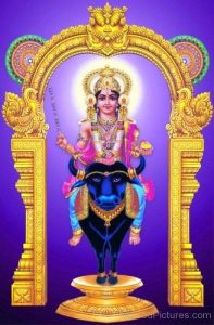 Lord Vishnumaya Ji Photos